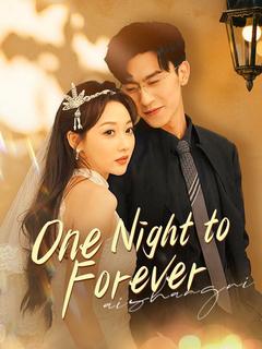 One Night to Forever poster
