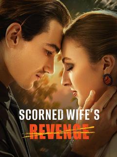 Scorned Wife's Revenge poster