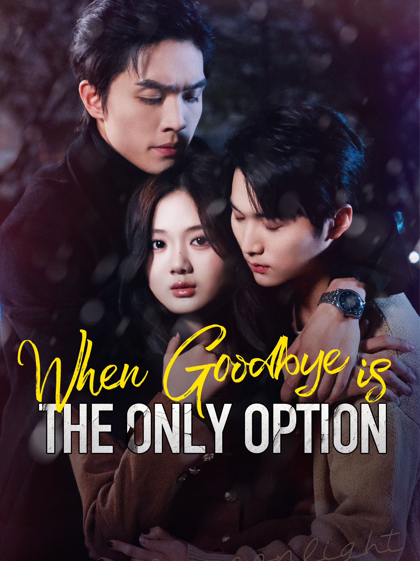 When Goodbye is the Only Option poster