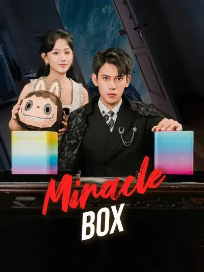 Miracle Box poster