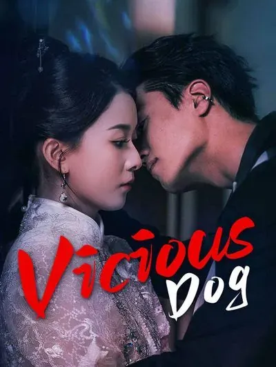 Vicious Dog poster