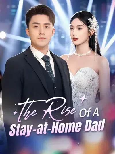 The Rise of a Stay-at-Home Dad poster