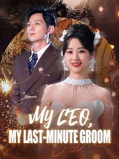 My CEO, My Last-Minute Groom poster