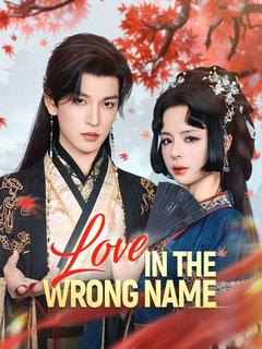 Love in the Wrong Name poster