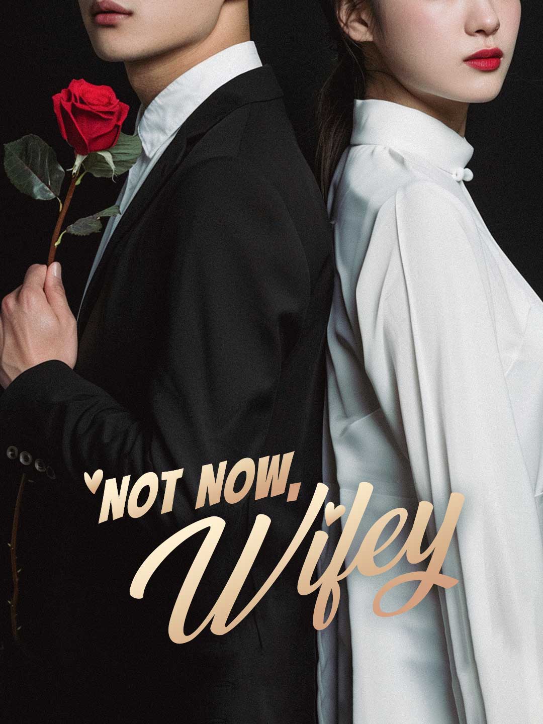 Not Now, Wifey poster
