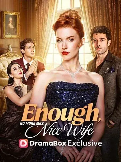 Enough! No More Mrs.Nice Wife poster