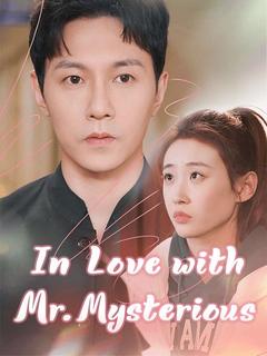 In Love with Mr. Mysterious poster
