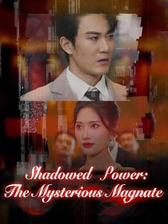 Shadowed Power: The Mysterious Magnate poster