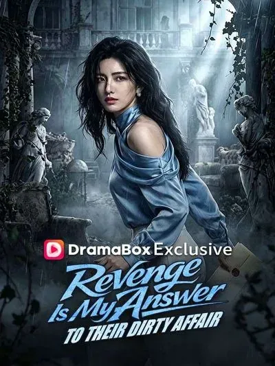 Revenge is My Answer to Their Dirty Affair poster