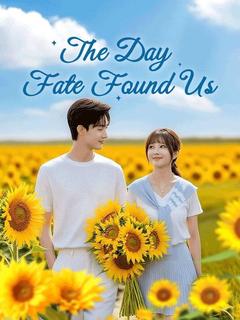 The Day Fate Found Us poster