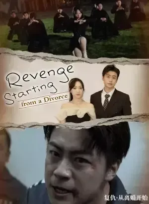 Revenge Starting From a Divorce poster