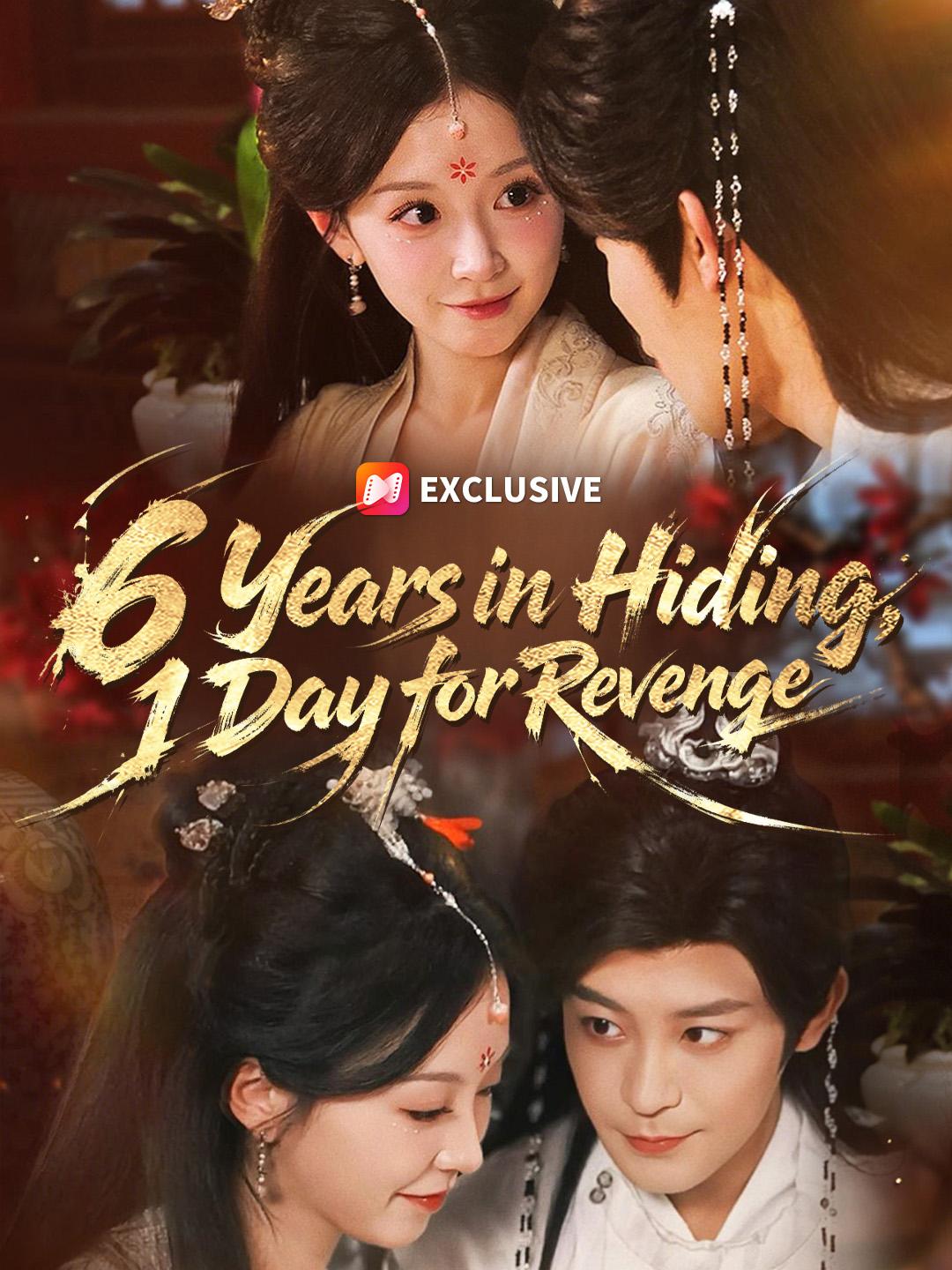 6 Years in Hiding, 1 Day for Revenge poster