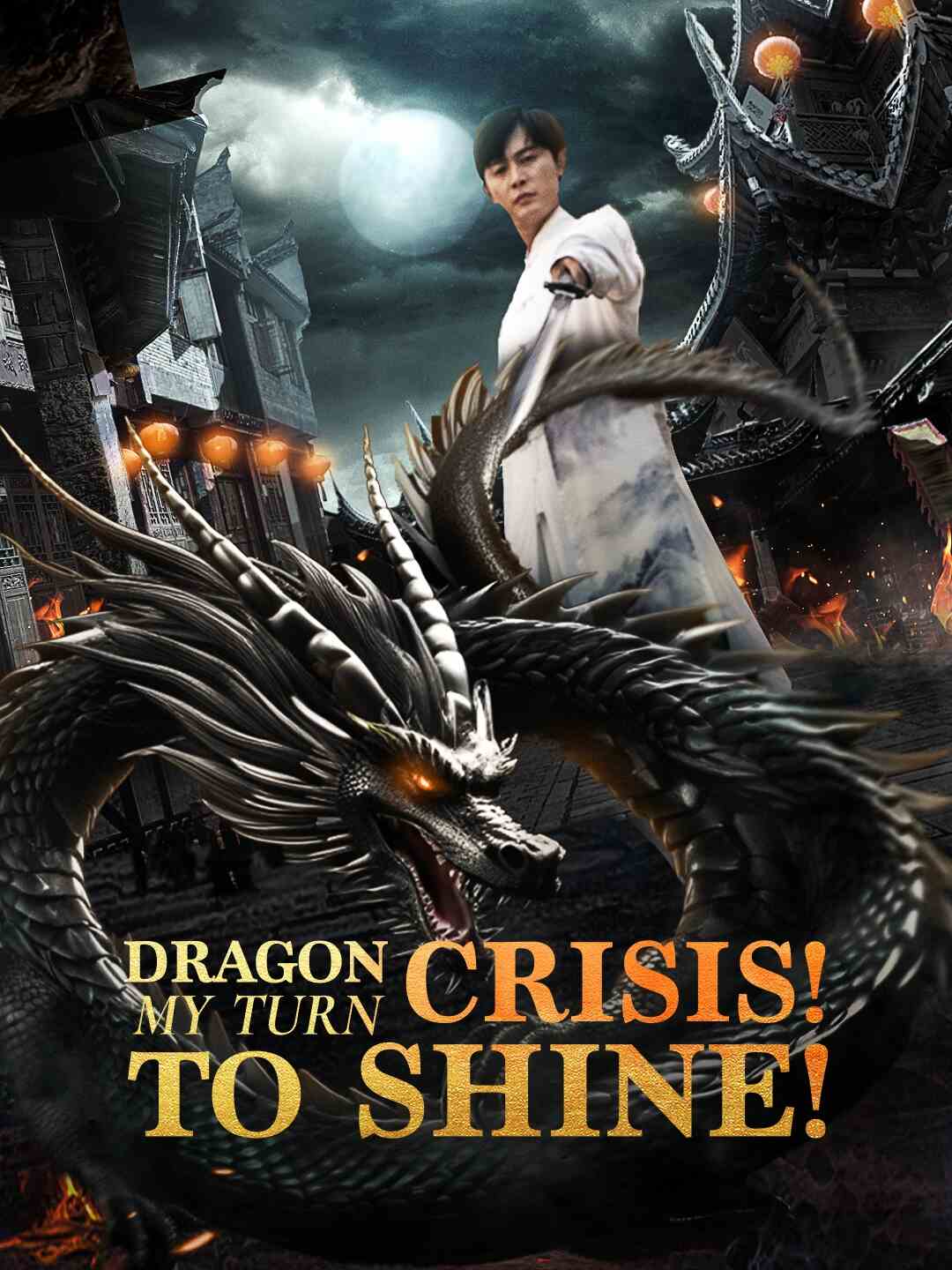 Dragon Crisis! My Turn to Shine! poster