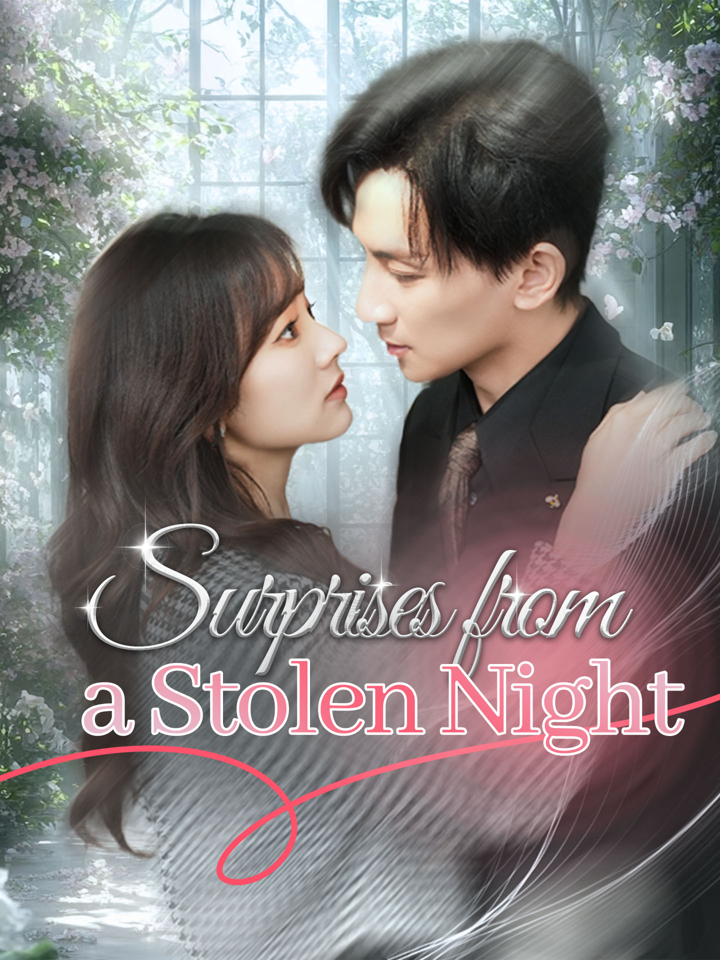 Surprises from a Stolen Night poster