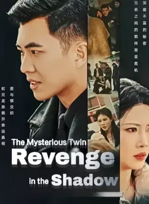 The Mysterious Twin: Revenge in the Shadow poster