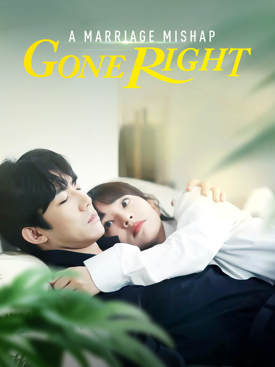 A Marriage Mishap Gone Right poster