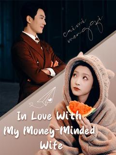 In Love With My Money-Minded Wife poster