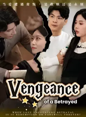 Vengeance of a Betrayed Husband poster