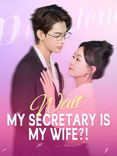 Wait, My Secretary Is My Wife?! poster
