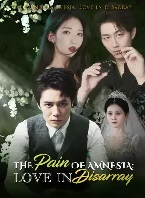 The Pain of Amnesia: Love in Disarray poster