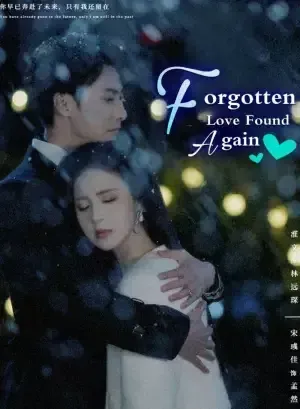 Forgotten Love Found Again poster