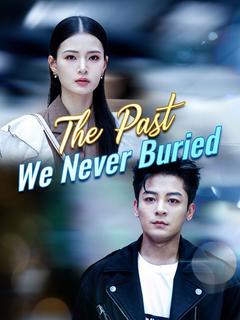 The Past We Never Buried poster