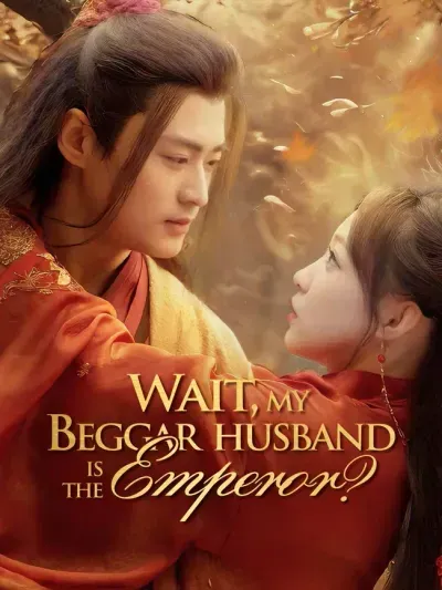 Wait, My Beggar Husband is the Emperor? poster