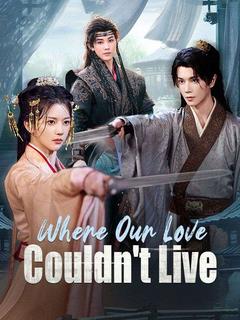 Where Our Love Couldn't Live poster