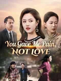 You Gave Me Pain, Not Love poster