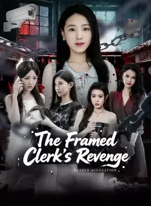 The Framed Clerk’s Revenge poster