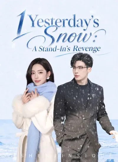 1Yesterday’s Snow: A Stand-In’s Revenge poster