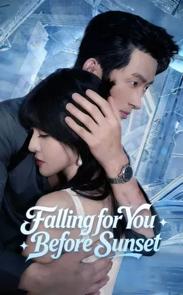 Falling for You Before Sunset poster