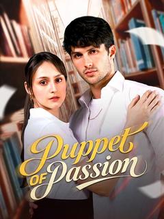 Puppets Of Passion poster
