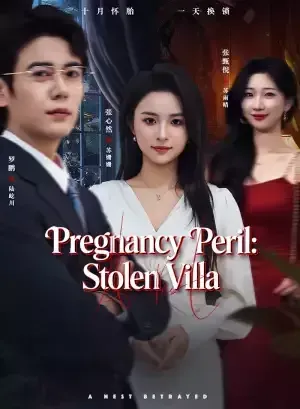 Pregnancy Peril: Stolen Villa poster