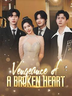 Vengeance of a Broken Heart poster