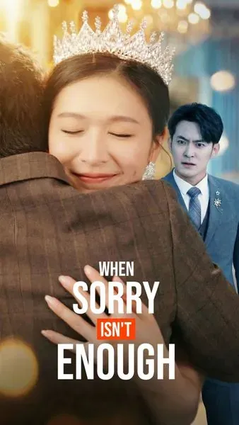When Sorry Isn’t Enough poster