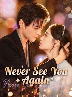 Never See You Again poster
