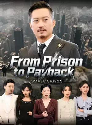From Prison to Payback poster