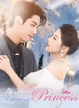 After Divorce, Exposed as the Princess poster