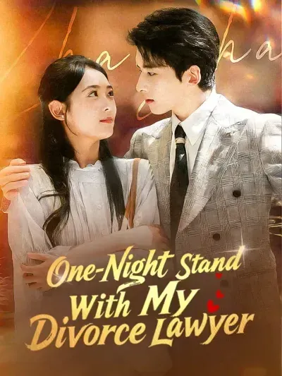 One-Night Stand With My Divorce Lawyer poster