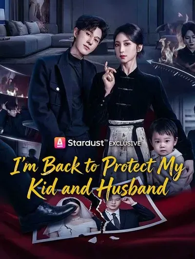 I’m Back to Protect My Kid and Husband poster