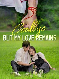 Goodbye, But My Love Remains poster