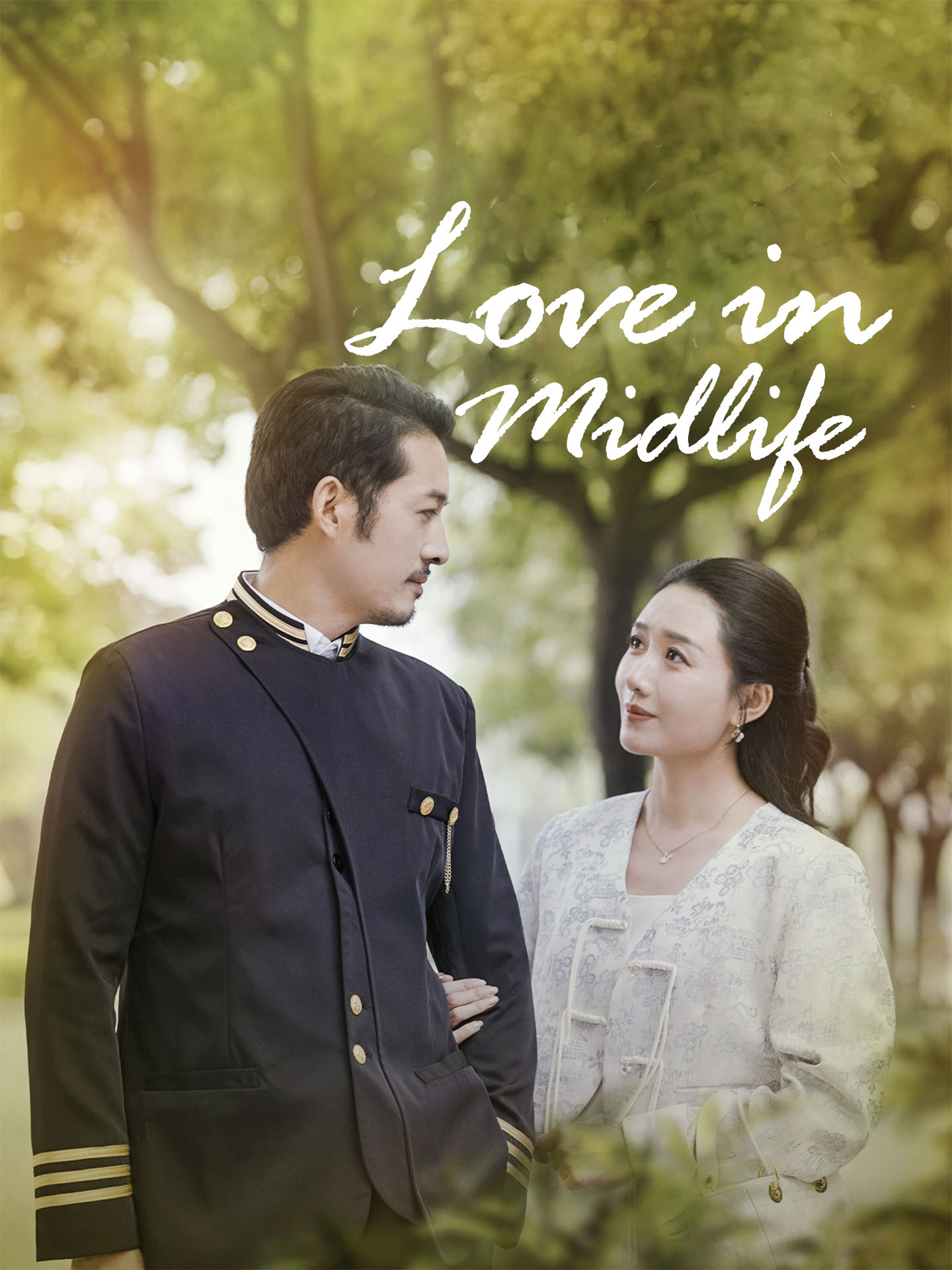 Love in Midlife poster
