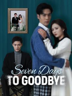 Seven Days to Goodbye poster
