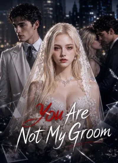 You Are Not My Groom poster