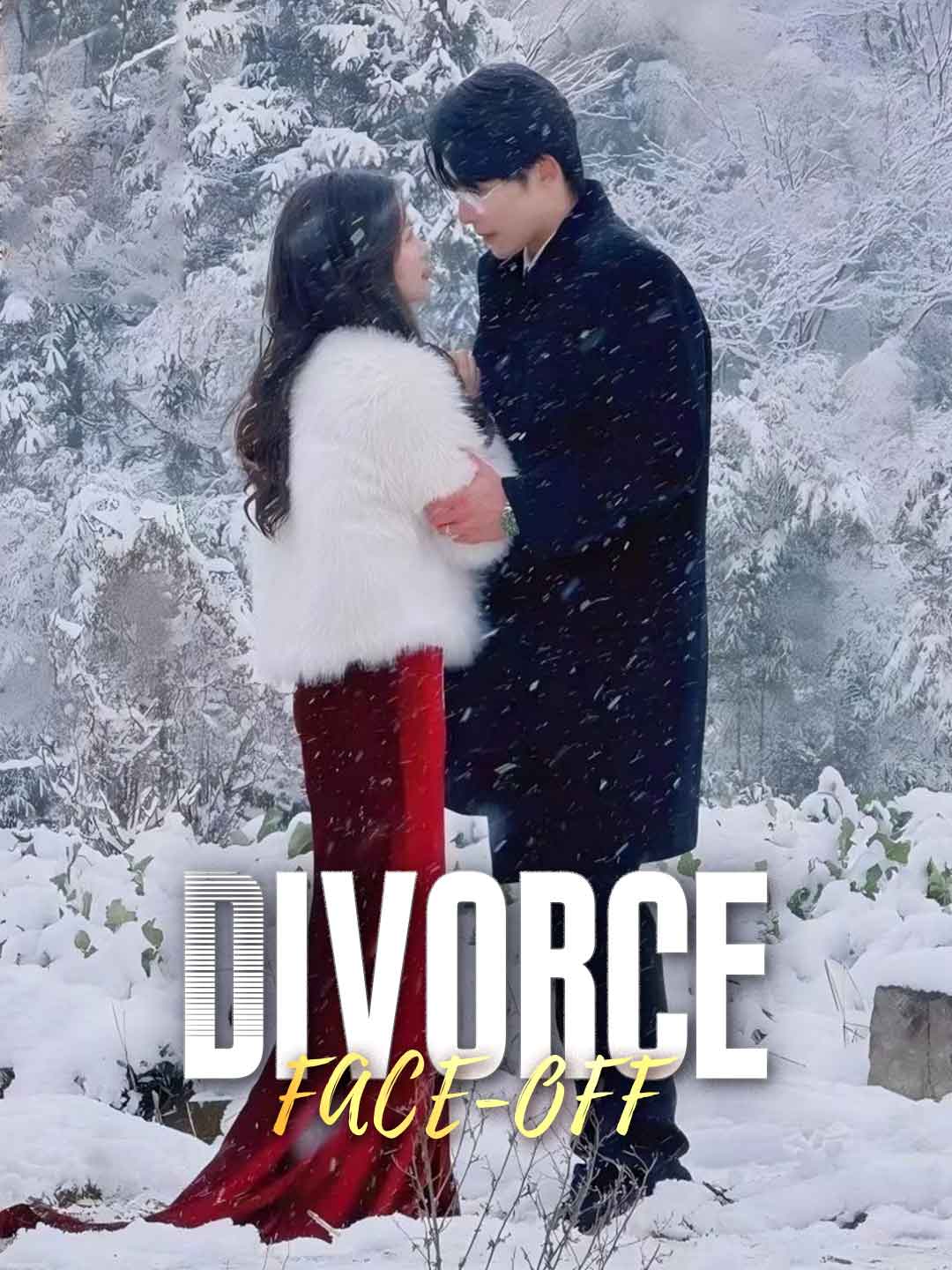 Divorce Face-Off poster