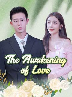 The Awakening of Love poster