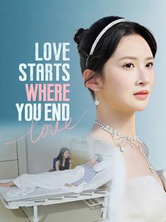 Love Starts Where You End poster