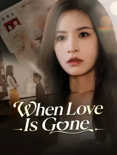 When Love is Gone poster
