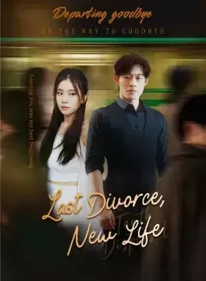 Last Divorce, New Life poster